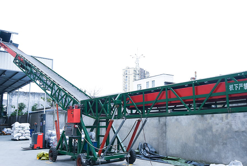 Professional Consultation